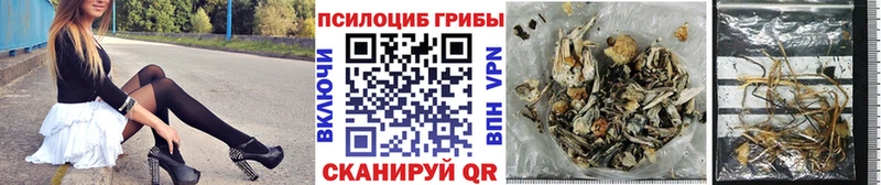 Псилоцибиновые грибы Magic Shrooms  Глазов 